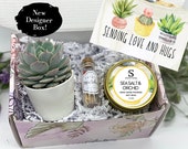 Thinking of You - Succulent Gift Box - Missing You - Friendship Gift Box - Care Package - Thinking of You Gift -FREE SHIPPING