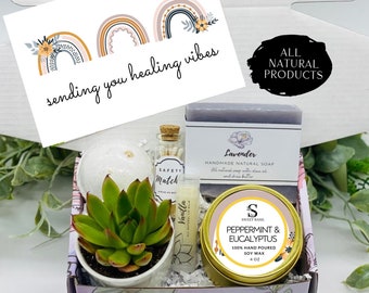 Thinking of You - Succulent Gift Box - Missing You - Friendship Gift Box - Care Package - Thinking of You Gift -FREE SHIPPING