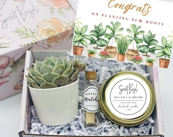 Succulent Gift Box: Housewarming New Home Gift