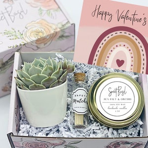 Happy Valentines Day - Valentines Day Gifts  - Valentines Succulent Gift - Valentines Day - Best Friend Valentine - Valentines Gift