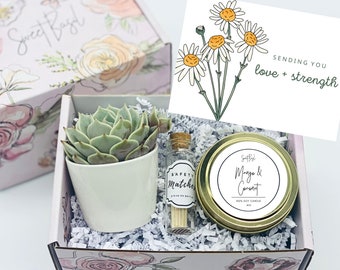 May include: A gift box filled with a small succulent plant in a white pot, a small glass jar with matches, and a gold tin candle with a white label that says "Mango & Coconut". The box is decorated with a floral pattern and the card says "Sending you love + strength".
