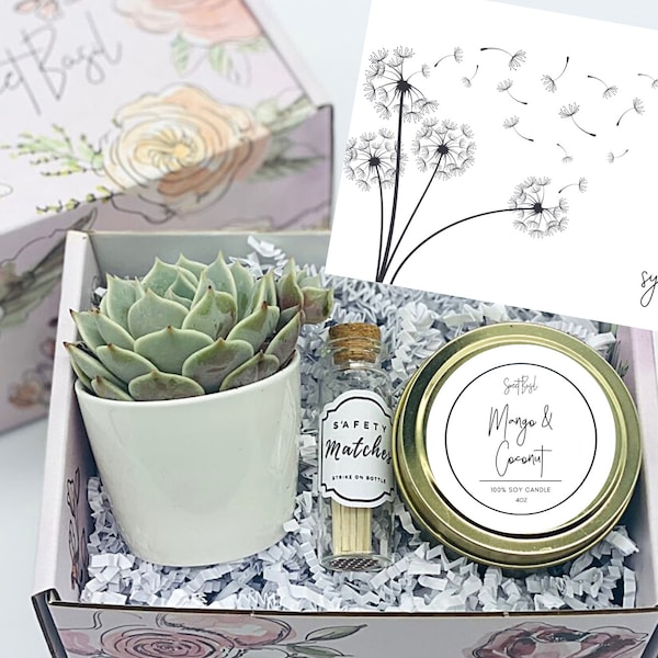 Condolence Gift Box - Succulent Gift box - Care Package - Death of Mom, Parent, Condolences, Mourning, Grieving, Passing, Sympathy Gift