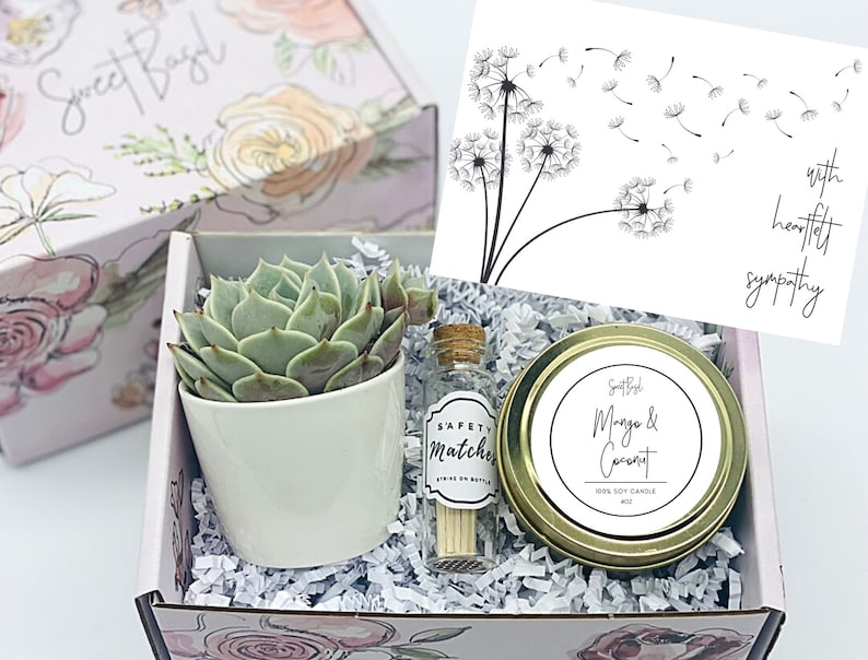 Condolence Gift Box Succulent Gift box Care Package Death of Mom, Parent, Condolences, Mourning, Grieving, Passing, Sympathy Gift image 1