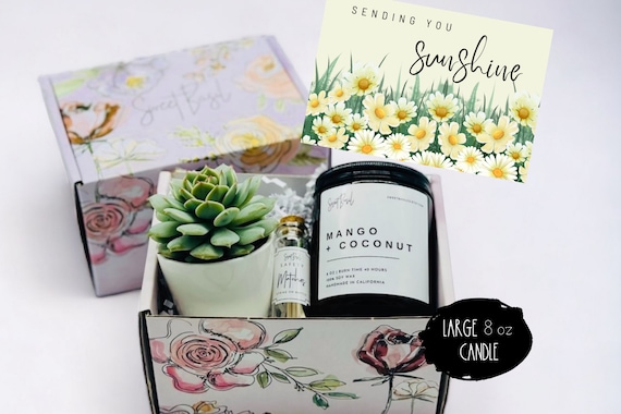 Get Well Gift Box: Succulent, Soy Candle & Matches - Sending Sunshine