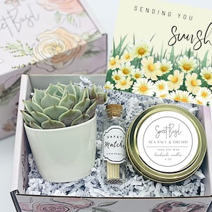 Succulent Gift Box: Soy Candle, Matches, Personalized Card
