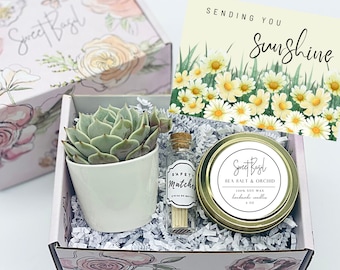 Thinking of You - Succulent Gift Box - Missing You - Friendship Gift Box - Care Package - Thinking of You Gift -FREE SHIPPING