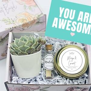 You Are Awesome - Thinking of You - Succulent Gift Box - Missing You - Friendship Gift - Care Package -  Encouragement Gift