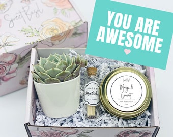 May include: A gift box filled with a succulent plant in a white pot, a small glass jar with matches, and a gold tin candle labeled "Mango & Coconut". The box is decorated with a floral pattern and a card that reads "YOU ARE AWESOME".
