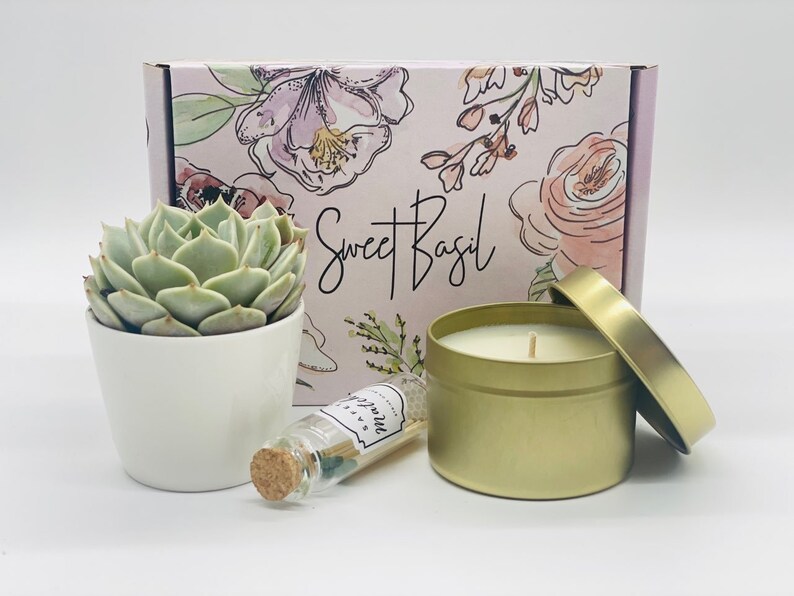 Happy Galentines Day Galentines Day Gifts Galentines Succulent Gift Galentines Day Best Friend Valentine Galentines Gift image 2