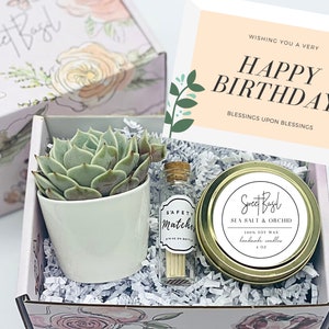 Happy Birthday Gift - Succulent Gift Box - Missing You - Friendship Gift Box - Care Package - Thinking of You Gift - FREE SHIPPING