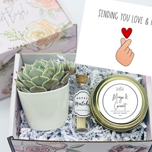 Thinking of You Succulent Gift Box Missing You Friendship Gift Box