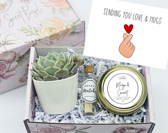 Thinking of You - Succulent Gift Box - Missing You - Friendship Gift Box - Thinking of You Gift - Spa Gift Box - Sending you love and hugs