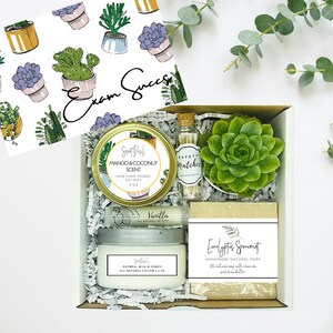 May include: A gift box filled with self-care items, including a mango and coconut scented soy wax candle, a vanilla scented lotion, a small succulent plant, a bar of eucalyptus spearmint soap, and safety matches. The box is decorated with a card that says "Exam Success" and features a pattern of potted succulents.