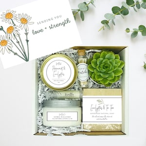 May include: A white gift box with a card that says "Sending you love + strength" with a drawing of daisies. The box contains a small succulent plant, a candle, a bar of soap, and a small bottle of matches.