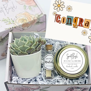 Retro Floral Congrats Box - Congratulations Gift Box - Succulent Gift Box - Friendship Gift - Gift for Her - Care Package - FREE SHIPPING