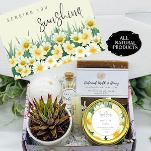 Thinking of You - Succulent Gift Box - Missing You - Friendship Gift Box - Care Package - Thinking of You Gift -FREE SHIPPING
