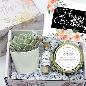 Happy Birthday Gift Box - Birthday Gift - Succulent Gift Box - Friendship Gift - Birthday Gift Box - Gift for Her - Care Package