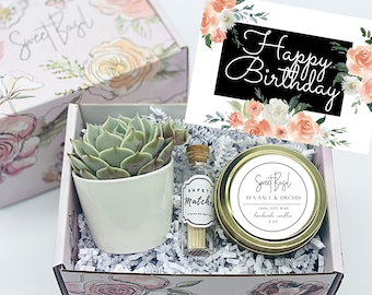 Happy Birthday Gift Box - Birthday Gift - Succulent Gift Box - Friendship Gift - Birthday Gift Box - Gift for Her - Care Package