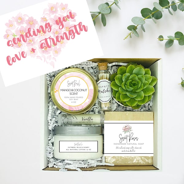 Thinking of You - Succulent Gift Box - Missing You - Friendship Gift Box - Care Package - Thinking of You - Sending Love Gift -FREE SHIPPING