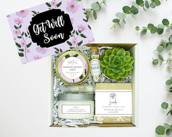 Thinking of You - Succulent Gift Box - Missing You - Friendship Gift Box - Care Package - Thinking of You - Sending Love Gift -FREE SHIPPING