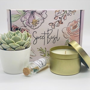 Condolence Gift Box Succulent Gift box Care Package Death of Mom, Parent, Condolences, Mourning, Grieving, Passing, Sympathy Gift image 2