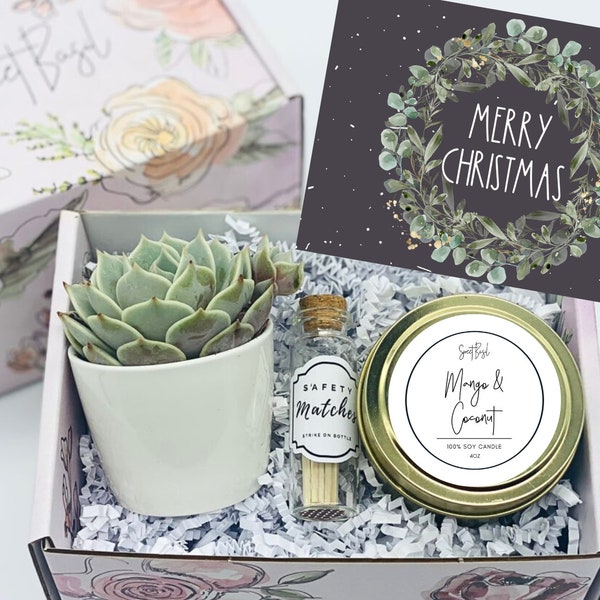 Christmas Gift Box - Christmas Gift Ideas - Thank You Gift Box - Holiday Gifts - Holiday Gift Box - Holiday Gift Ideas - Succulent Gift Box