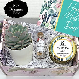 Mother’s Day Gift Box, Candle Gift Box, Succulent Gift Box, Friendship Gift, Birthday Gift Box, Gift for Her, Care Package, FREE SHIPPING