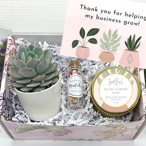 Thank you for Helping Us Grow - Corporate Gifts - Coworker Gift - Thank You Gift Ideas - Live Succulent Gift Box - Employee gift
