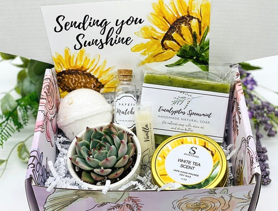 Thinking of You Succulent Gift Box Missing You Friendship Gift Box