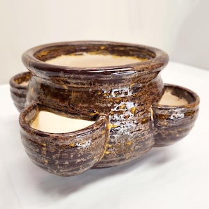 May include: A brown ceramic planter with a textured finish and three attached side planters. The interior of the planter and side planters are a light beige color. The planter is designed for growing multiple plants.