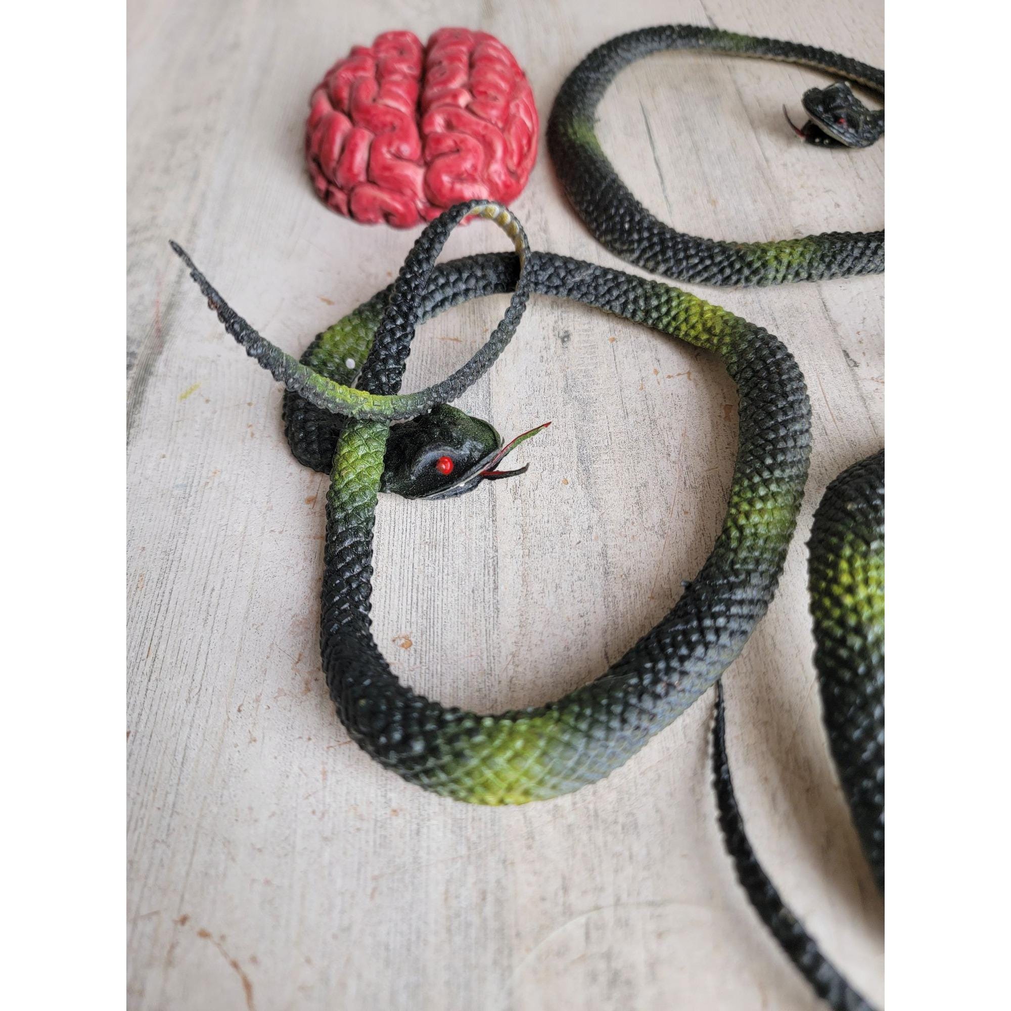 Scary Rubber Snake Brain Halloween Prop Decor Set Spooky - Etsy