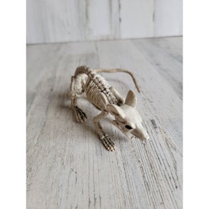 Halloween skeleton rat Seasons prop sit scary home decor Mouse