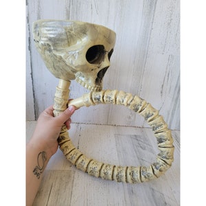 EU skeleton skull spine Halloween beer drink funnel home decor