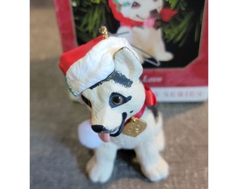 May include: A white and black puppy wearing a red and white Santa hat with a gold heart-shaped tag that says '99'.