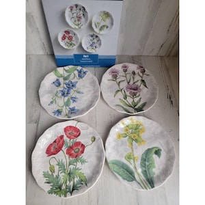 Pier 1 Imports botanischer Garten Teller Blumenset Dekor floral