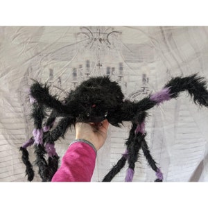 Puede incluir: Una araña grande, negra y peluda con patas de punta morada. La araña está siendo sostenida por una mano.