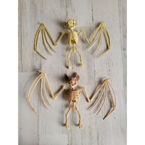 Greenbrier Halloween skeleton hanging bat set pop decor
