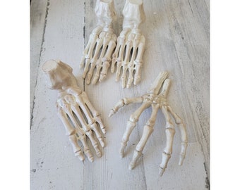 Årstidernas skelett fotben handenhet Halloween rekvisita dekor