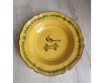 Italienische gelbe Vogelsuppe Salatteller umrandet