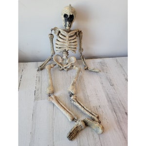 Puede incluir: Un esqueleto de plástico blanco con un cráneo pintado de negro. El esqueleto está sentado con las piernas cruzadas y los brazos extendidos.