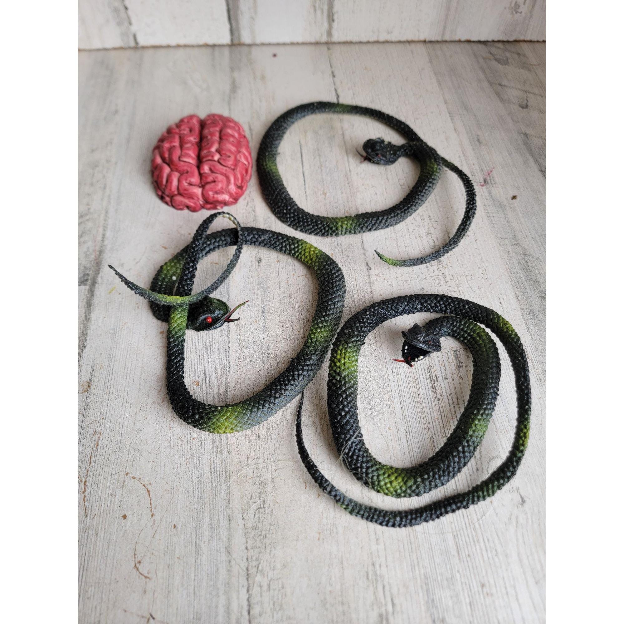 Scary Rubber Snake Brain Halloween Prop Decor Set Spooky - Etsy