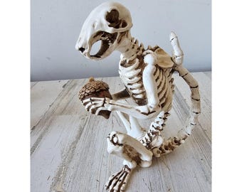 Squirrel skeleton statue figurine as is Halloween decor nut acorn unique