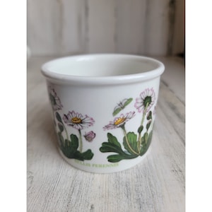 Portmeirion Botanic Garden Daisy offene Zuckertasse