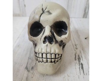 White plastic skeleton skull head Halloween prop Decor scary