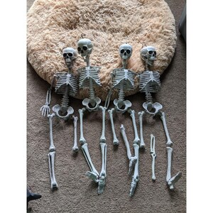 Hanging skeleton jointed vintage set for prop as is