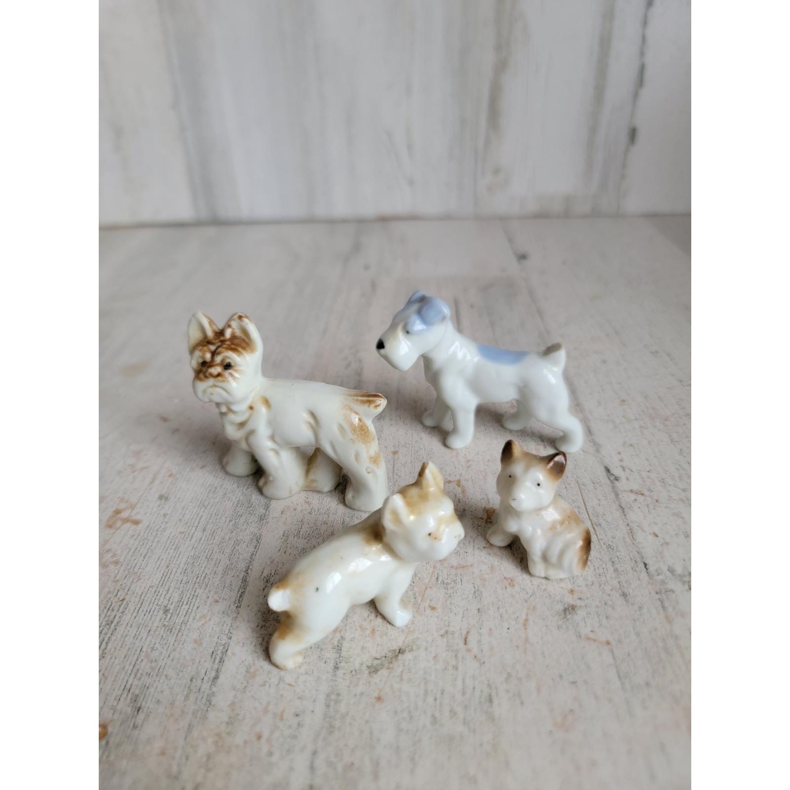 ドイツ？ヴィンテージ ミニ　テリア Miniature Vintage Porcelain Dog Puppy Set Home Decor Terrier