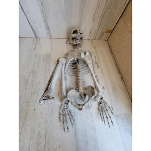 Skeleton AS IS jointed hanging Halloween home decor prop scary