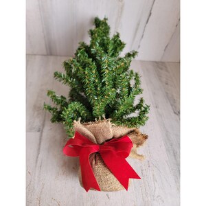 Mini sac en toile de jute imitation pin avec noeud et centre de table pour décoration d'intérieur de Noël