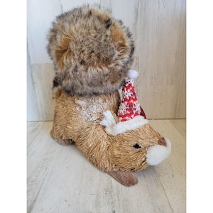 Pier 1 Riley squirrel hat glitter bristle brush Xmas home decor