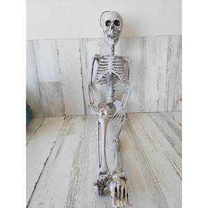 33&quot; jointed hanging skeleton prop